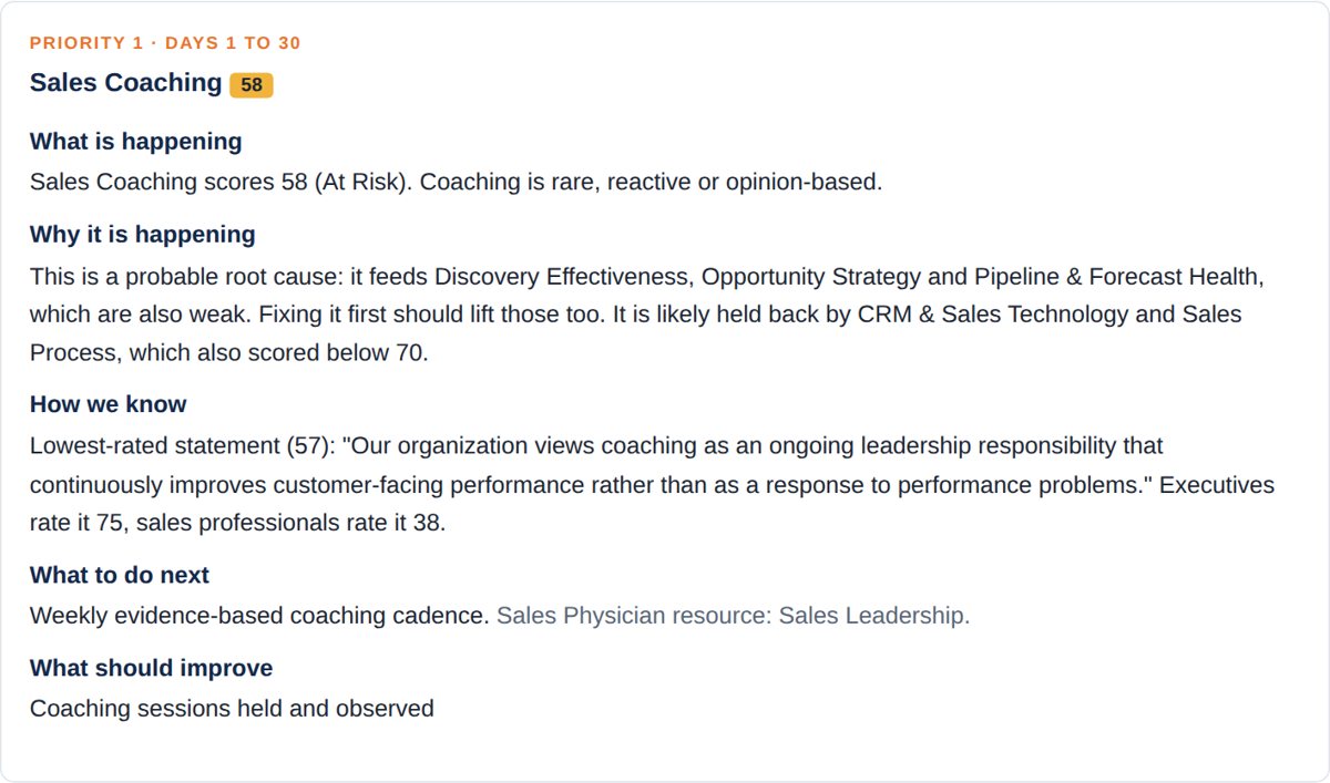 A priority initiative from a sample Revenue Optimization Plan